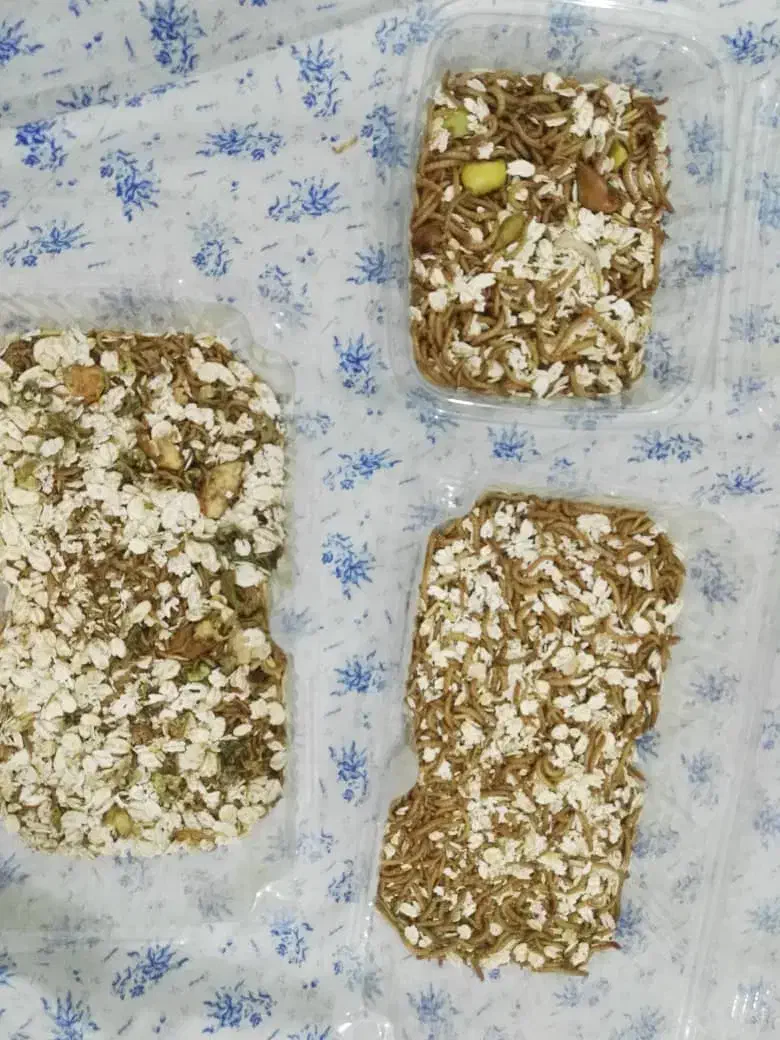 کرم میلورم|خزنده|آبادان, |دیوار