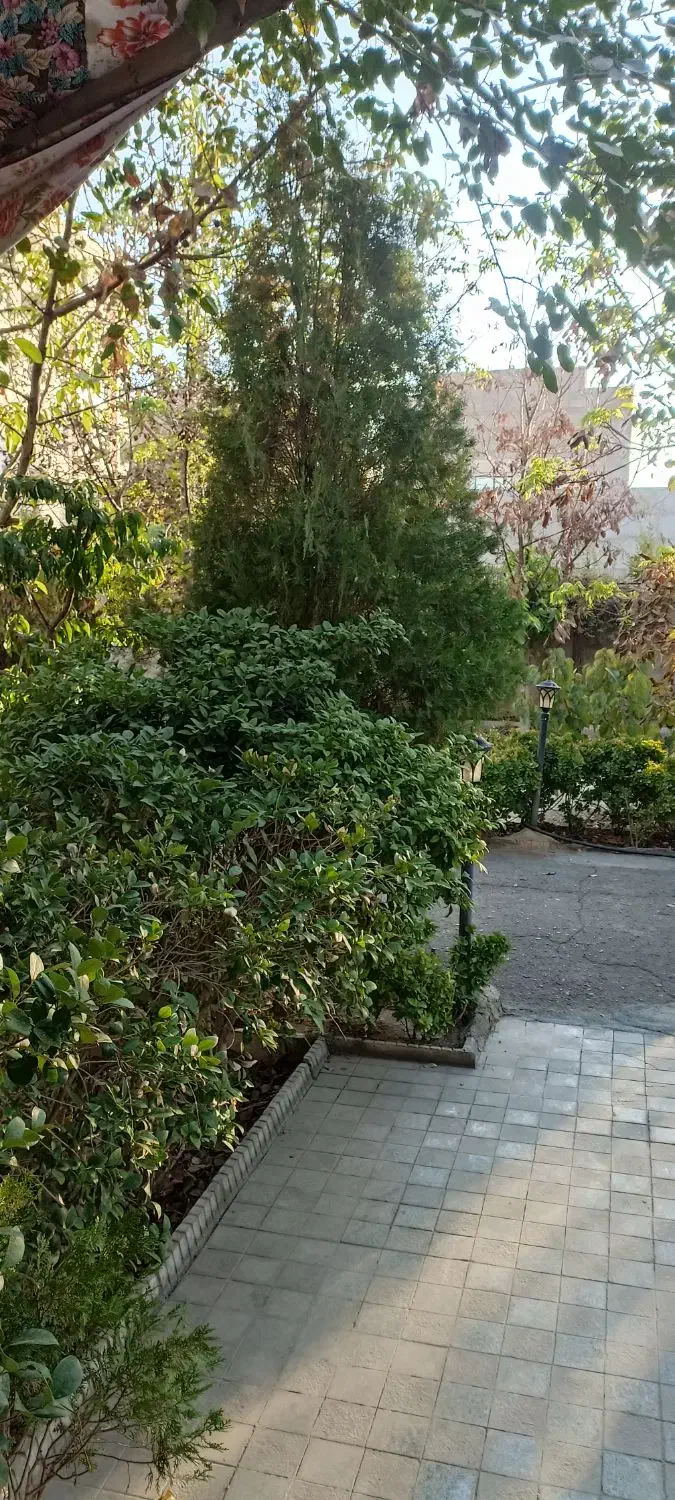 باغبان مسلط به باغداری نظافت باغ و نگهداری از سگ|استخدام سرایداری و نظافت|باغستان, |دیوار