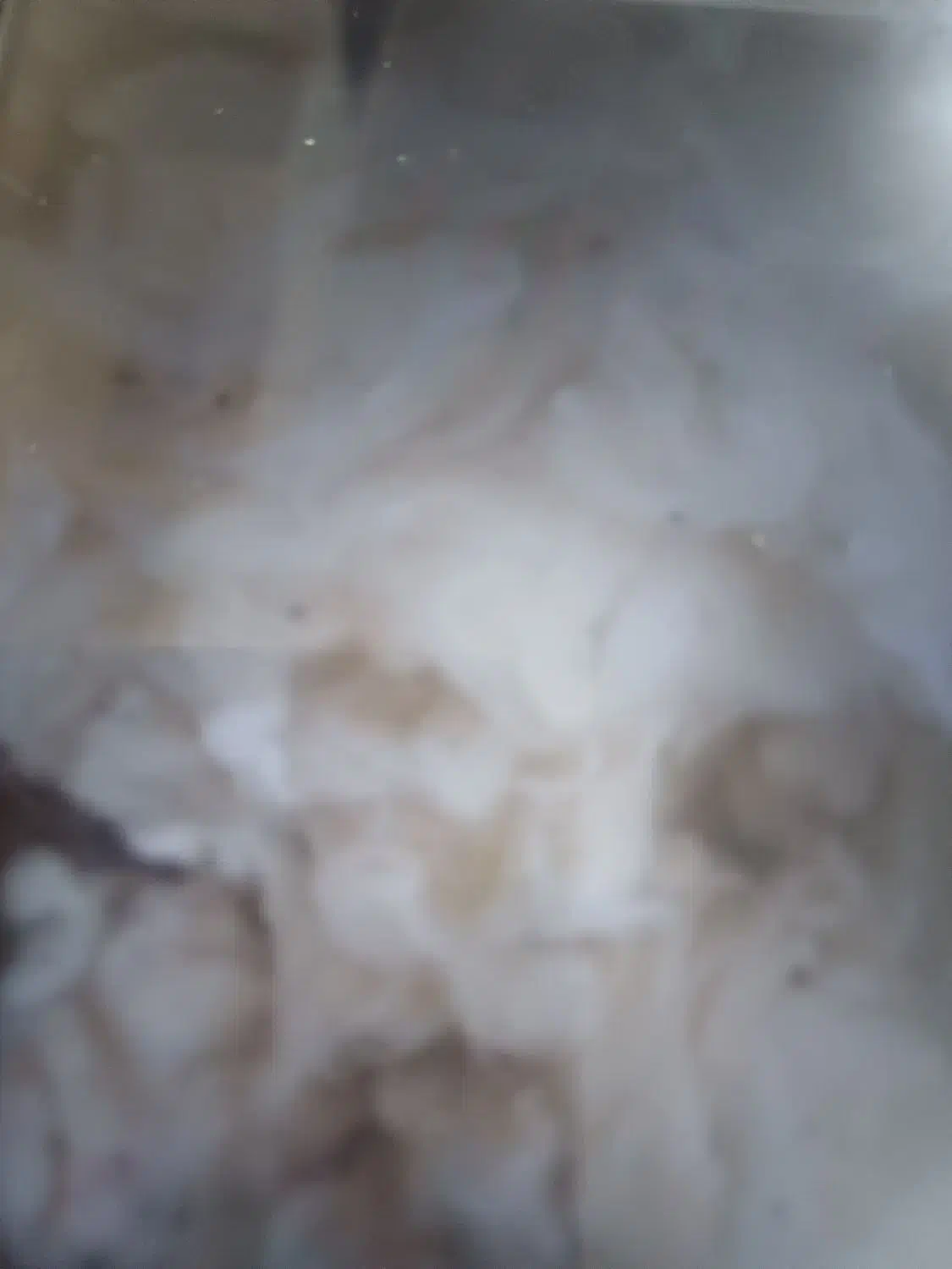 لحاف|رختخواب، بالش، پتو|مشهد, هنرور|دیوار