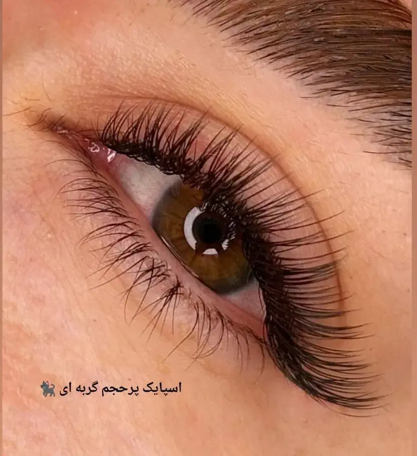 مدل اکستنشن مژه و لیفت و لمینت ابرو|خدمات آرایشگری و زیبایی|اصفهان, ملک‌شهر|دیوار