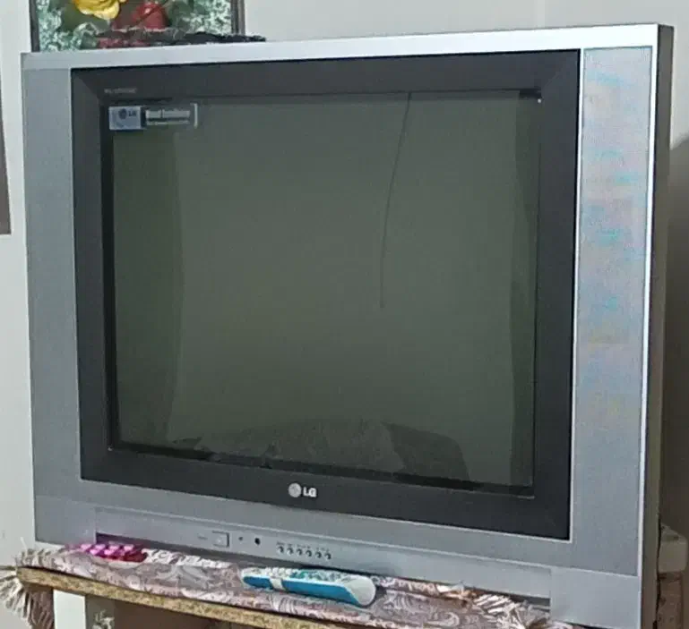 تلویزیون 29اینچ ال جی|تلویزیون و پروژکتور|اصفهان, فرودگاه شهید بهشتی|دیوار