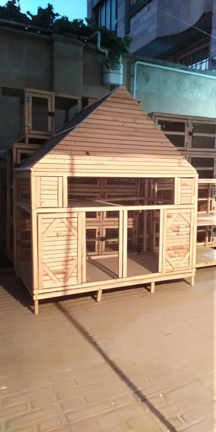 ساخت قفس چوبی|لوازم جانبی حیوانات|کرمانشاه, |دیوار