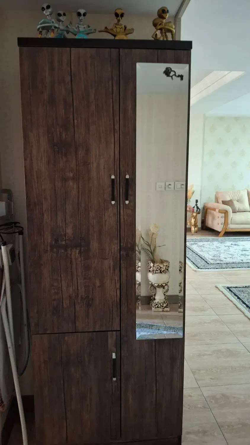 کمد چند کاره سالم|جاکفشی، کمد، دراور|فردیس, منظریه|دیوار