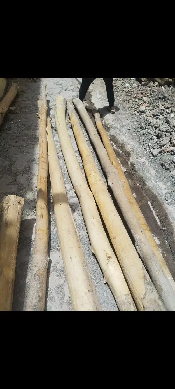 چوب سفید دال برای پوشش سقف بدون پوسیدگی|مصالح و تجهیزات ساختمان|مود, |دیوار