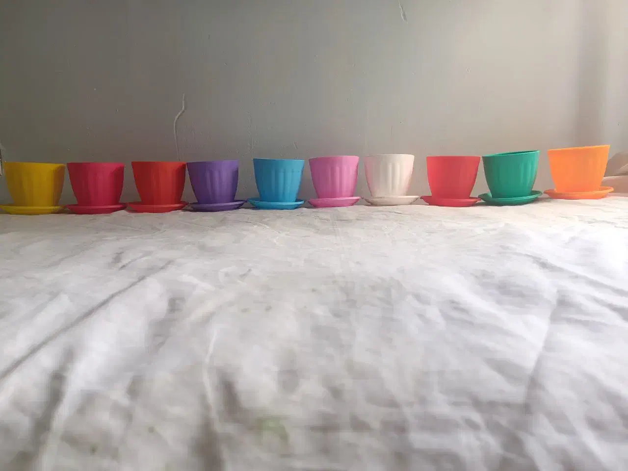 گلدان و گل در رنگ های متفاوت و زیبا|گل و گیاه طبیعی|آبیک, |دیوار