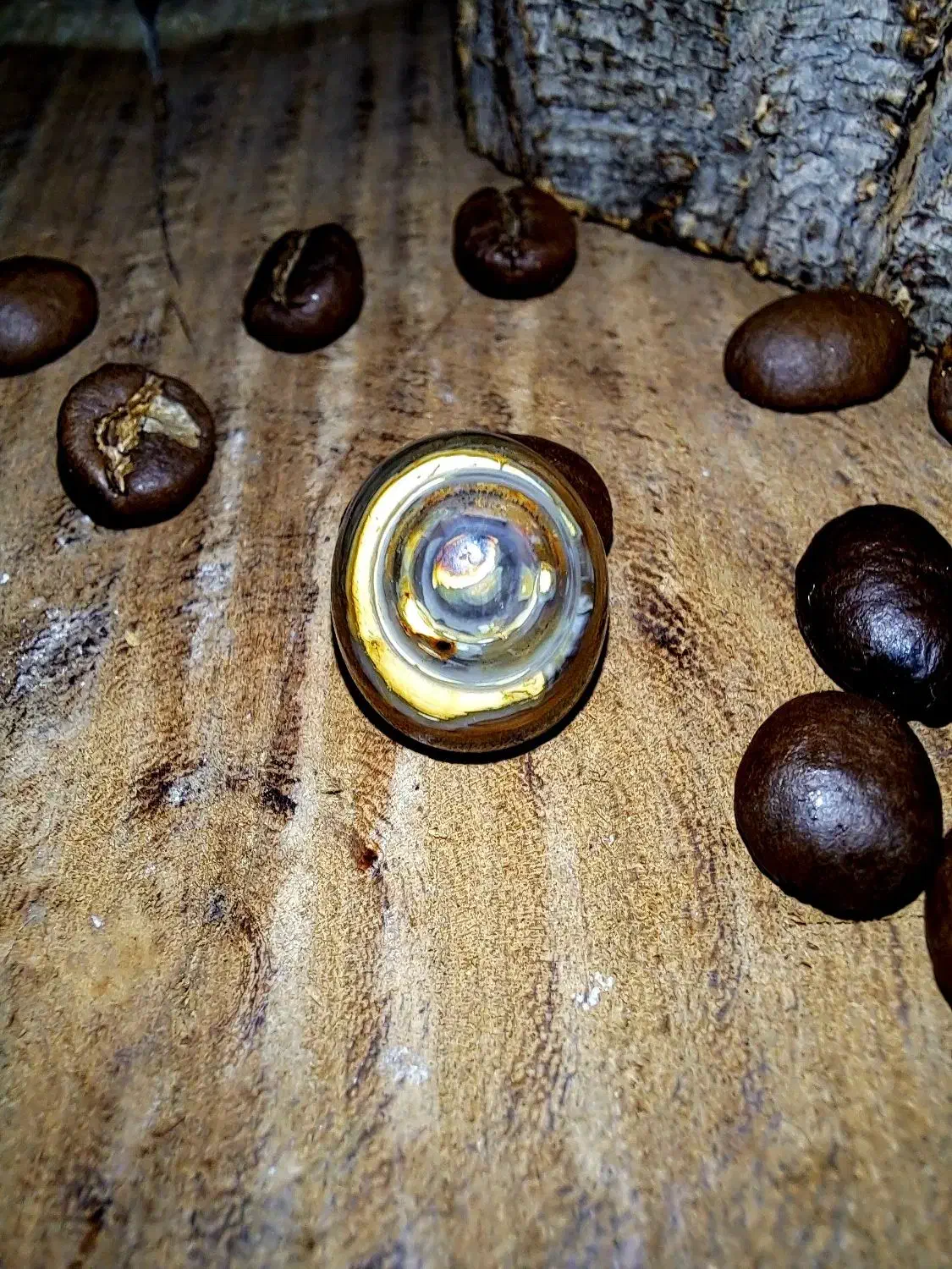 نگین انگشتر ومهره|کلکسیون اشیاء عتیقه|حمیدیه, |دیوار