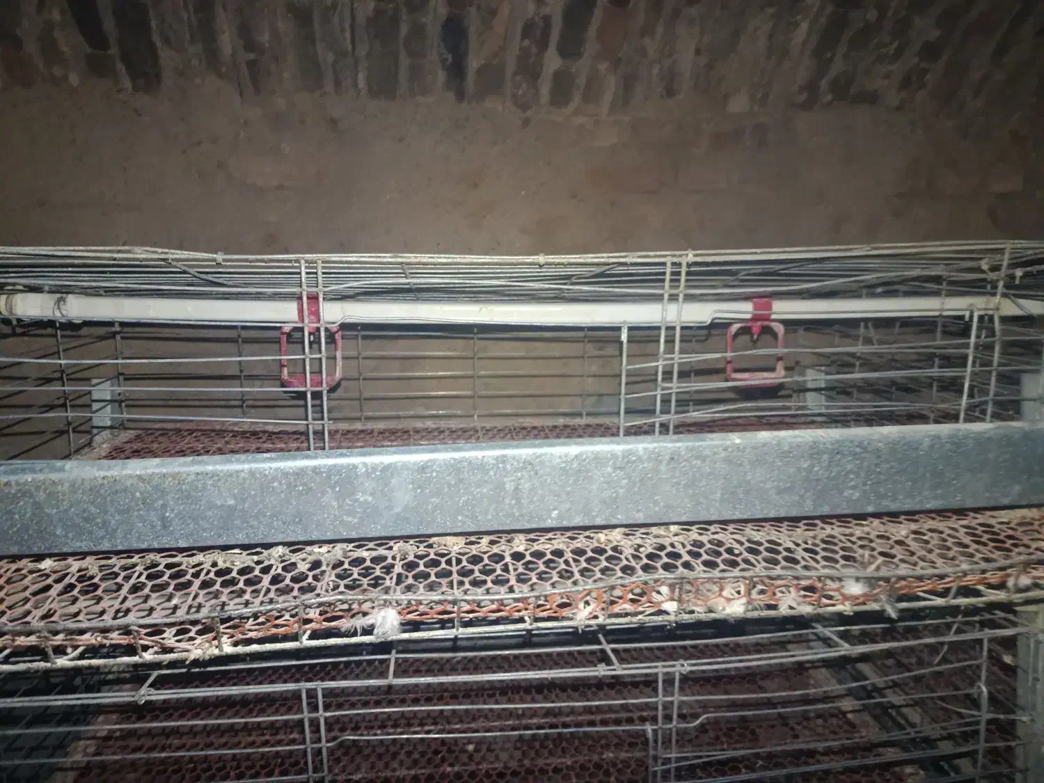 قفس|لوازم جانبی حیوانات|گناباد, |دیوار