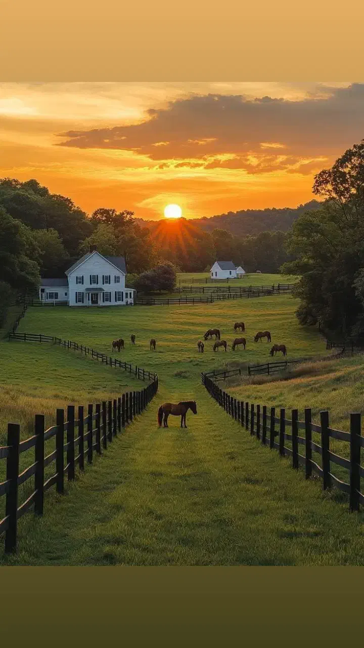 ۲۵۰ متر //دو نبش//جنت آباد|فروش زمین و ملک کلنگی|تهران, جنتآباد شمالی|دیوار
