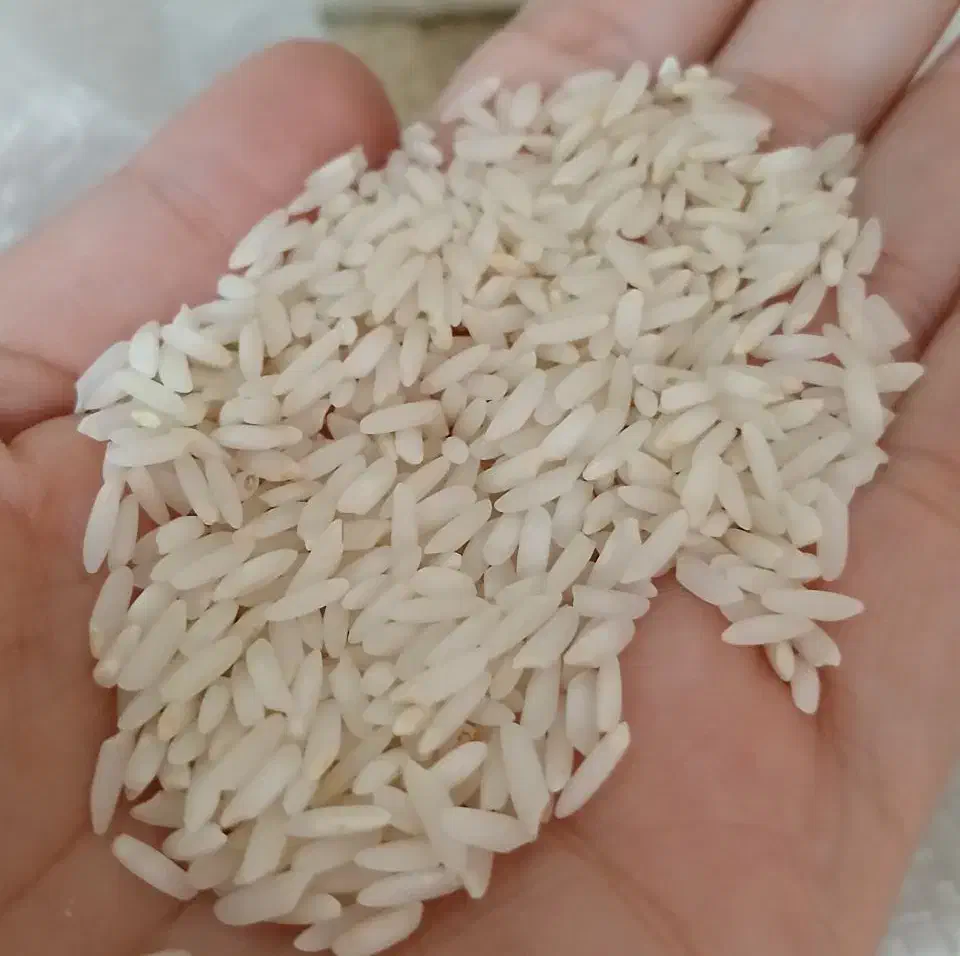 برنج محلی|خوردنی و آشامیدنی|سیلاخور, |دیوار