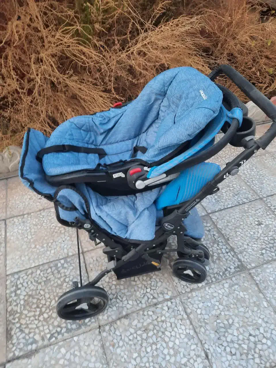 کالسکه نو|کالسکه و لوازم جانبی|فولادشهر, B1|دیوار