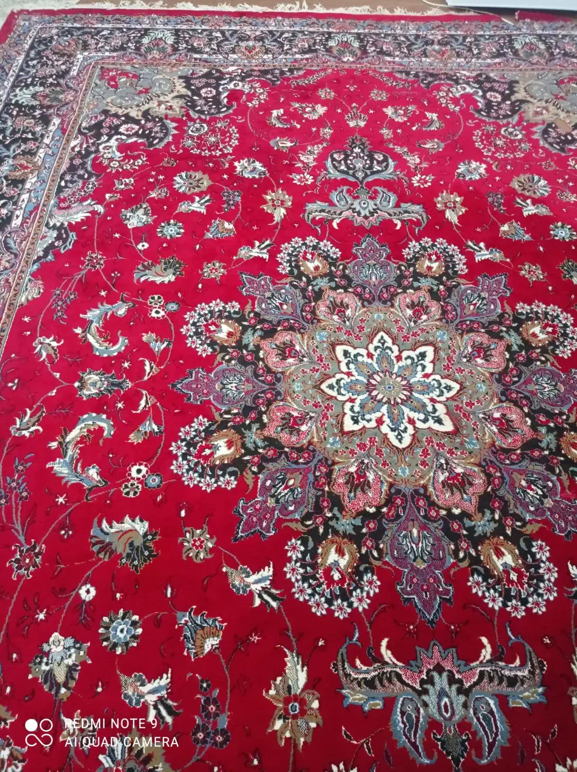 قالی نو|فرش|دزفول, |دیوار