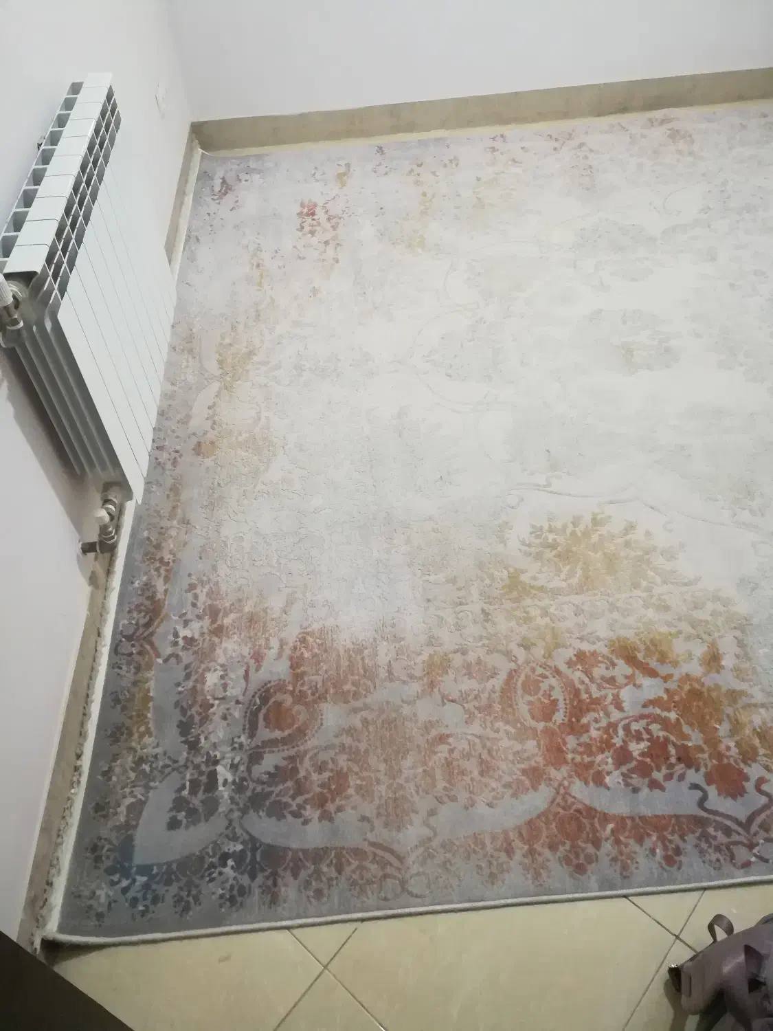 فرش ۱۲ متری|فرش|شیراز, شهرک مخابرات|دیوار