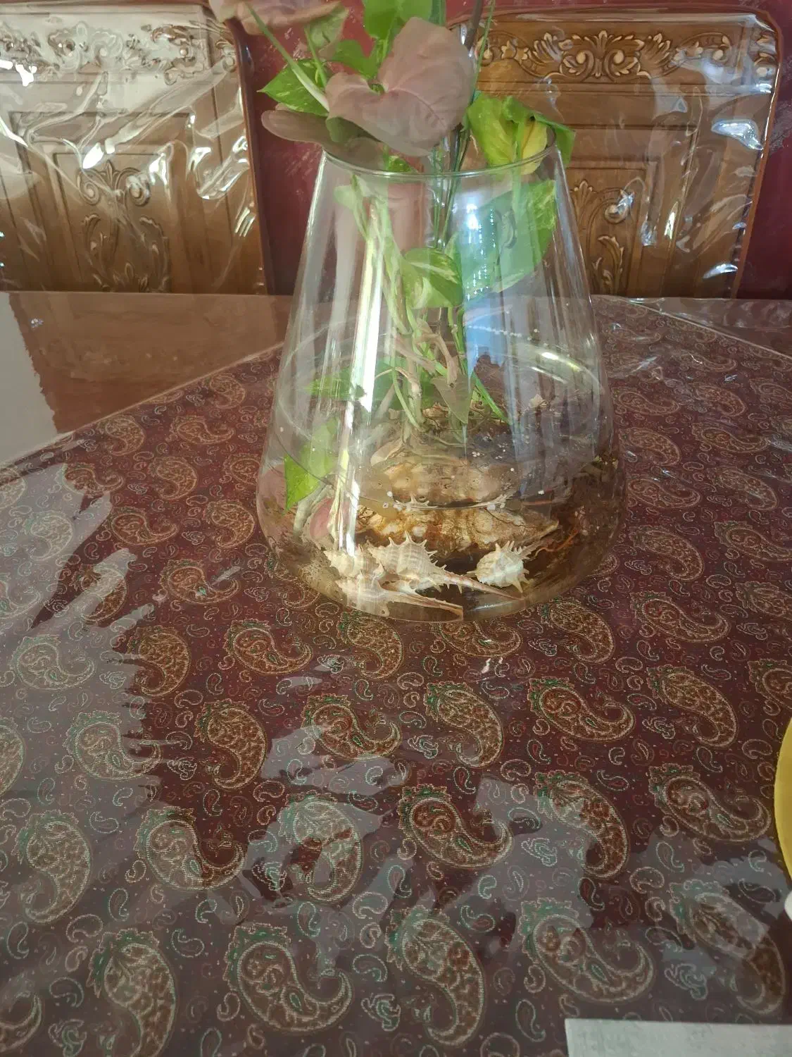 تراریوم|گل و گیاه طبیعی|تهران, سازمان برنامه جنوبی|دیوار