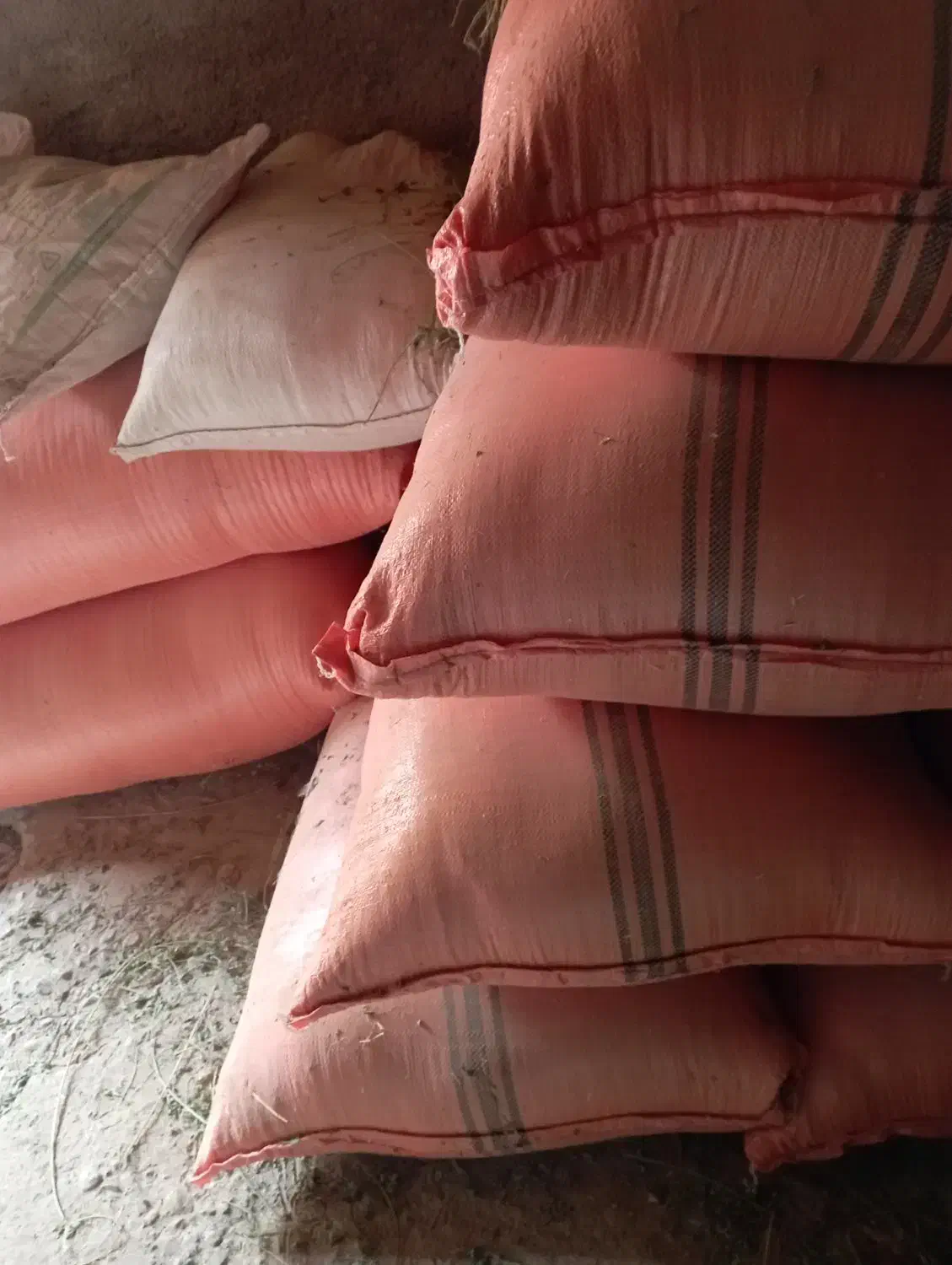 کاه بوجاری|عمده‌فروشی|چاپشلو, |دیوار