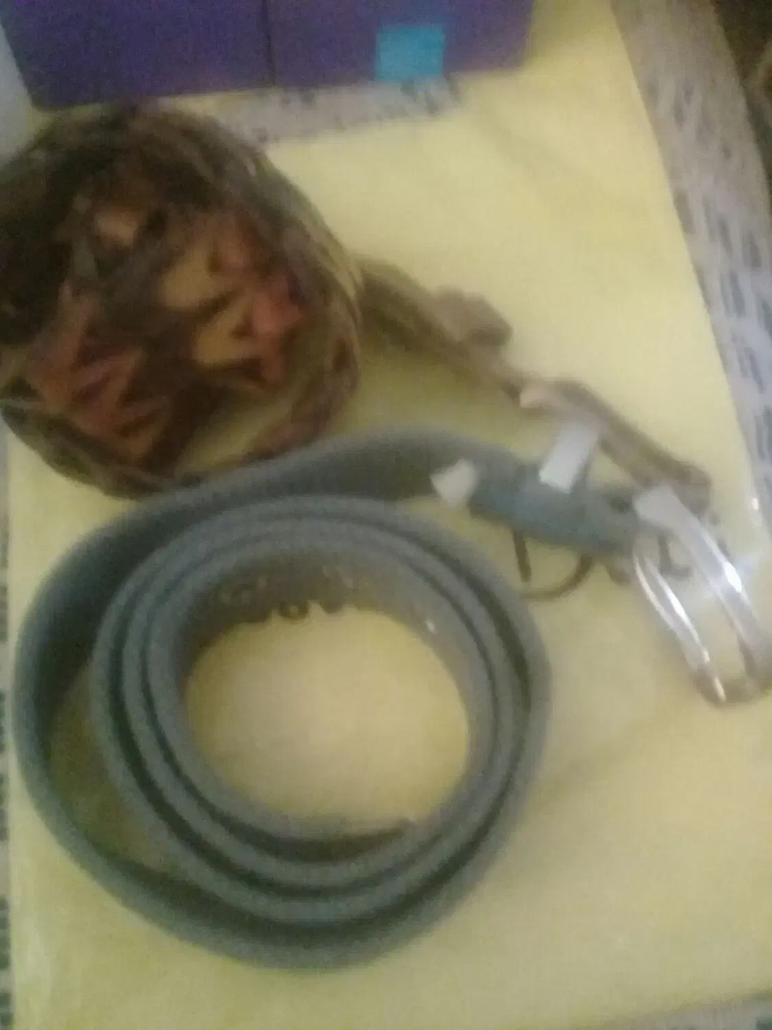 کمربند وارداتی لس انجلسی|کیف، کفش، کمربند|مرزنآباد, |دیوار