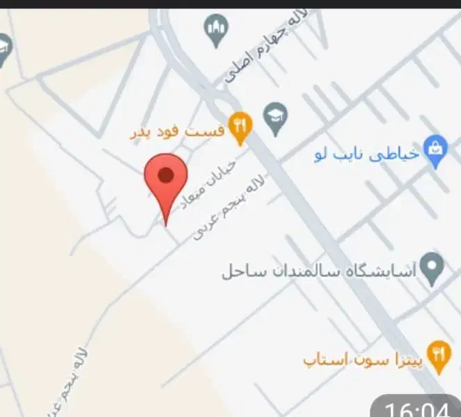 عروس هلندی گمشده ماده در شهریار ۴تیرماه|حیوانات|شهریار, شهریار|دیوار