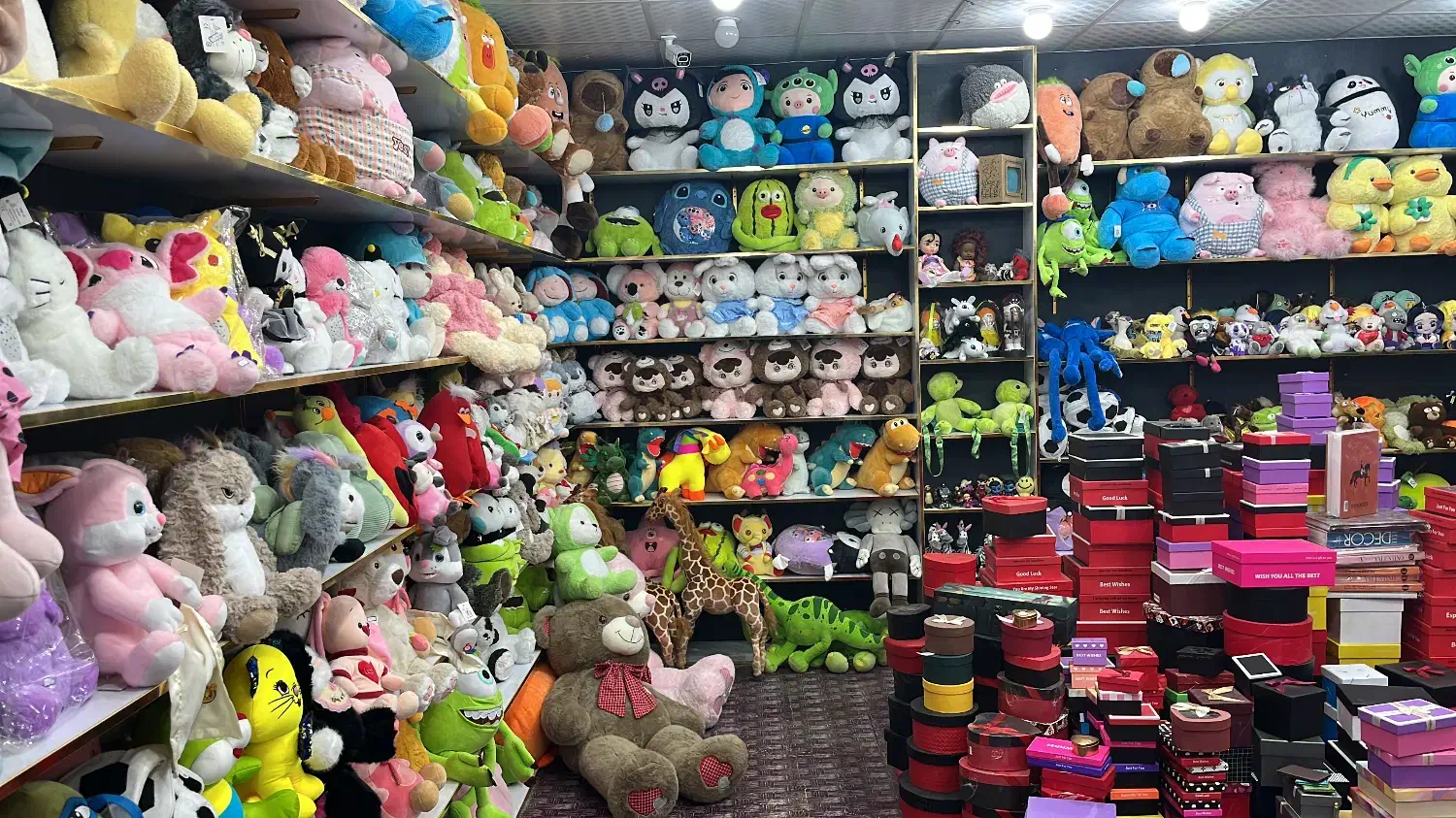 عروسک|اسباب‌بازی بچه|فسا, |دیوار