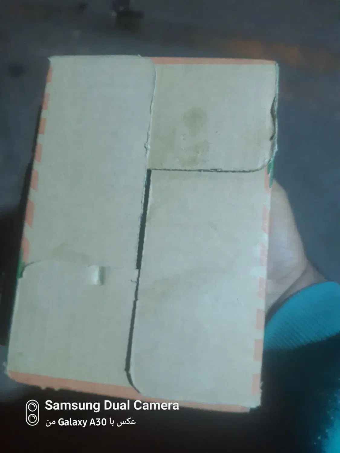 کارتون موزی|عمده‌فروشی|مرودشت, ژیان|دیوار