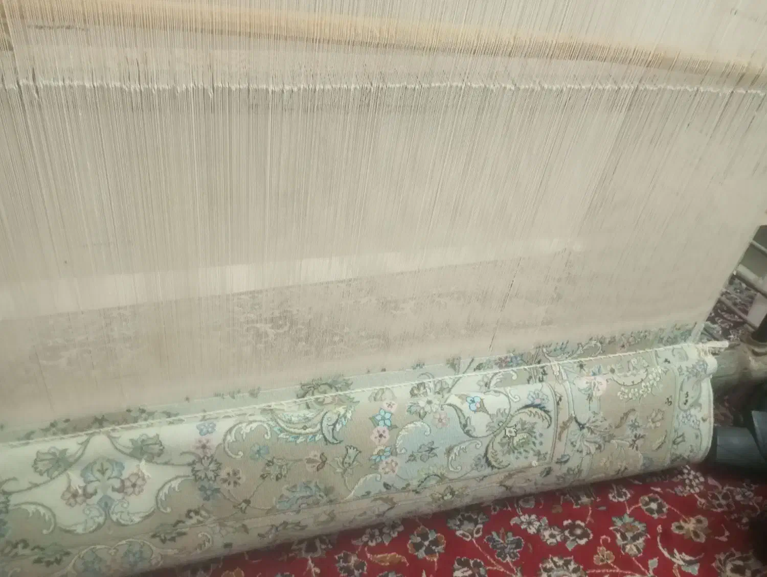 رنگ قالی کامل کرک ویک قالی نصفه کاره|فرش|برزک, |دیوار