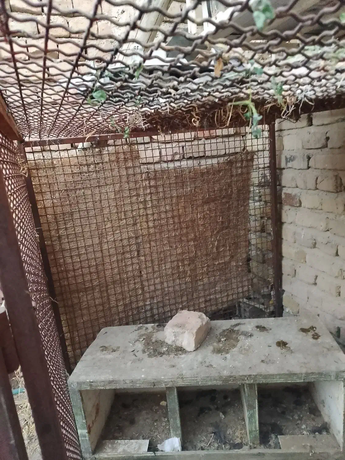 فنس|لوازم جانبی حیوانات|ایرانشهر, |دیوار