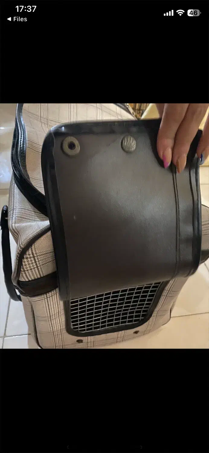 باکس سگ خارجی|لوازم جانبی حیوانات|تهران, باغ خزانه|دیوار