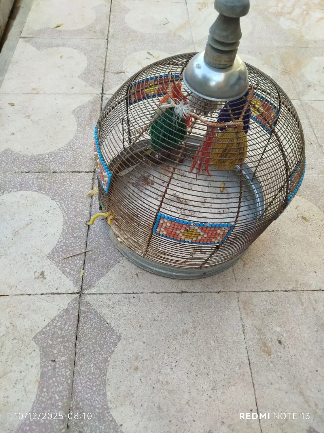 قفس ترقه|لوازم جانبی حیوانات|شیراز, کوزه گری|دیوار