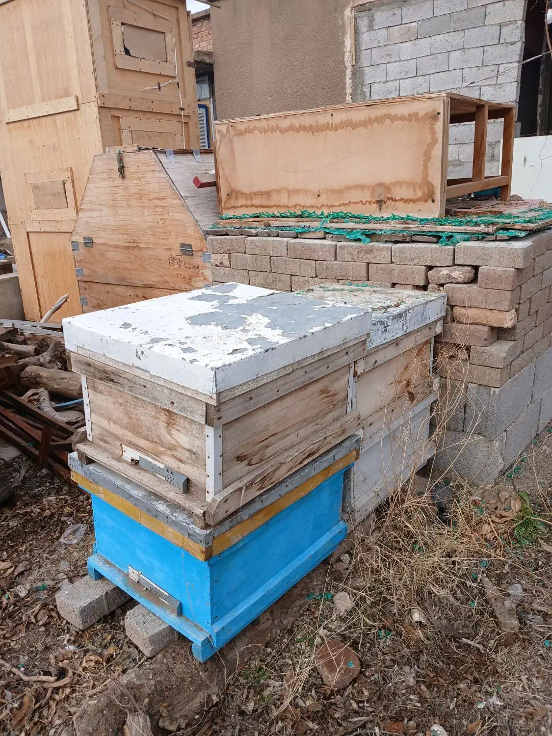 کندوی عسل|عمدهفروشی|جلفا, |دیوار