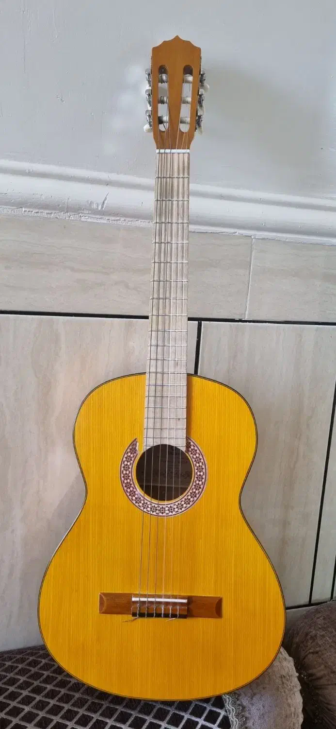 فروش گیتار مدل MAT2 پلاس همراه با کیف|گیتار، بیس، امپلیفایر|ایذه, |دیوار