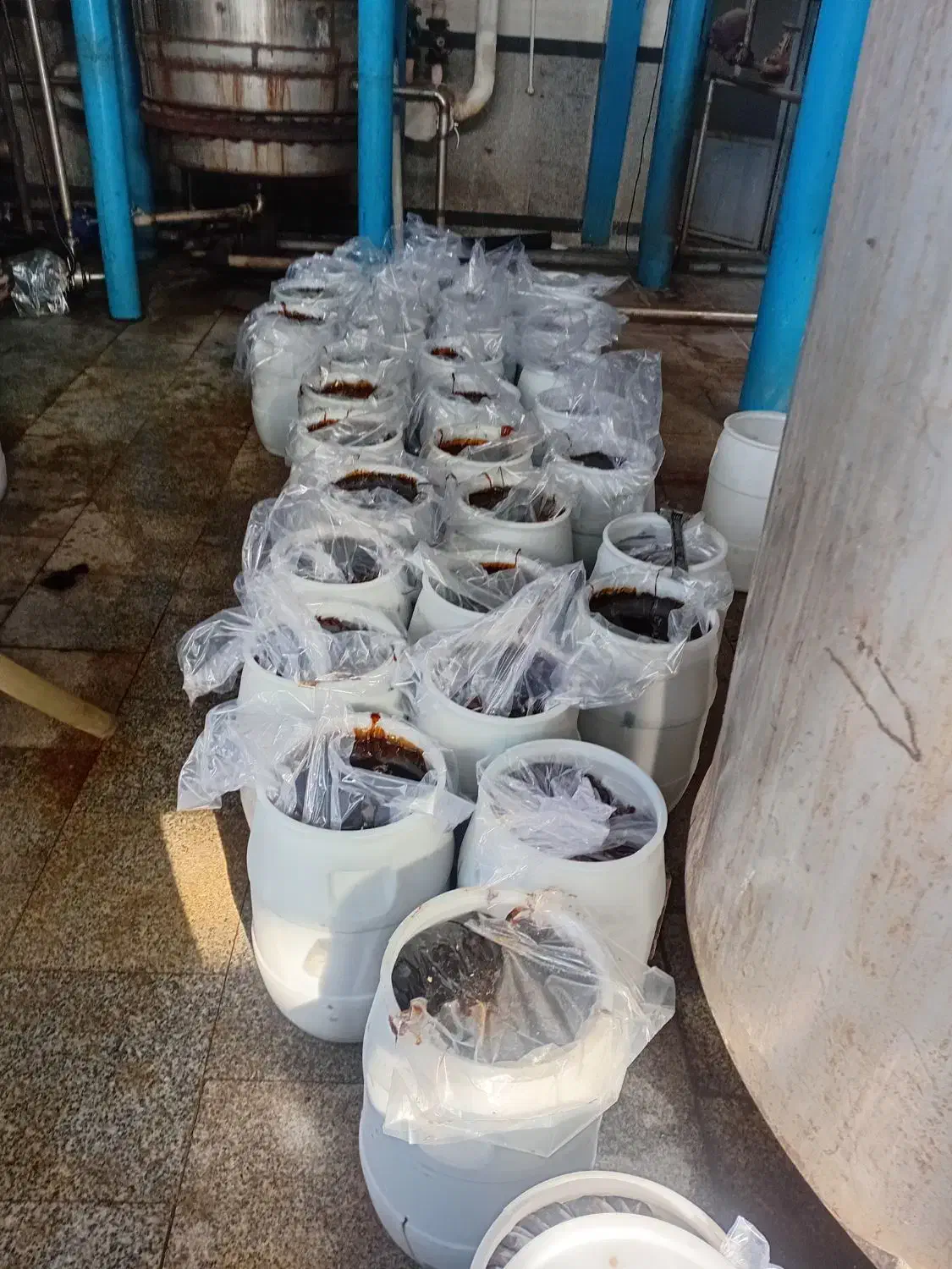 شیره جو|حیوانات مزرعه|شبستر, |دیوار