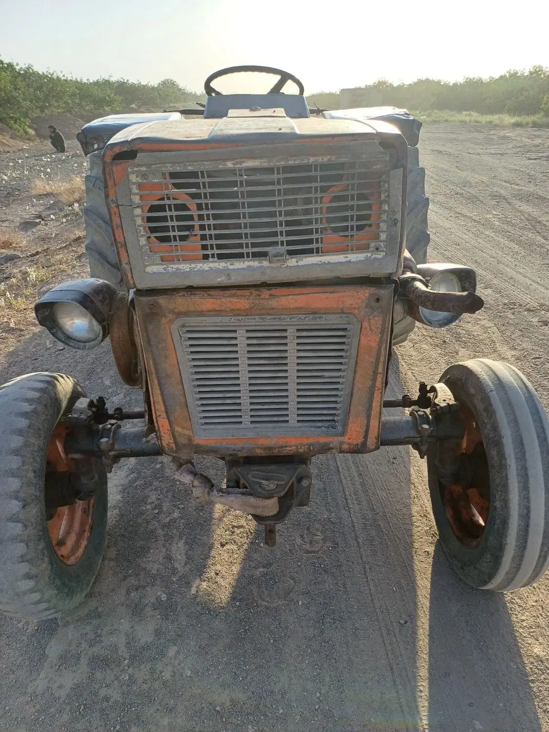 تراکتور فیات|خودرو سنگین|زید آباد, |دیوار