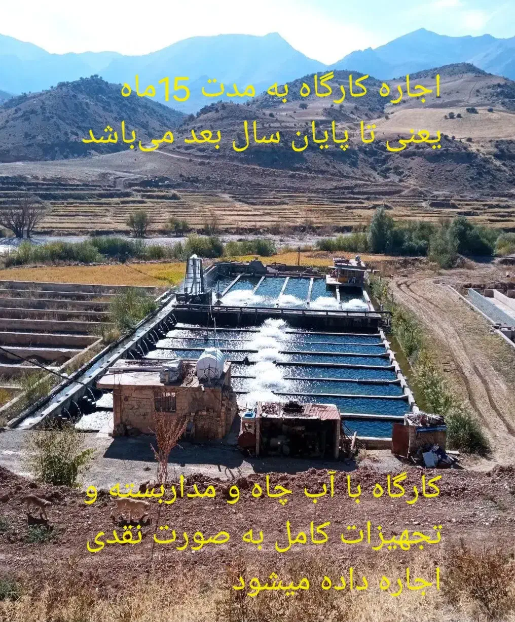 فروش یا اجاره کارگاه پرورش ماهی|فروش دفتر صنعتی، کشاورزی، تجاری|ناغان, |دیوار