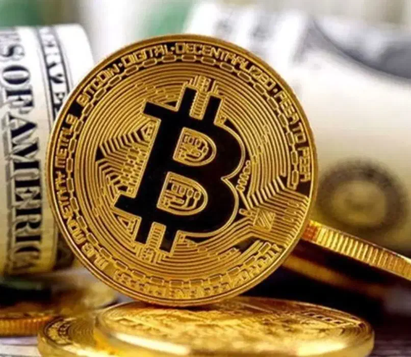 سیگنال ارز دیجیتال با تیم تحلیل حرفه ای|خدمات آموزشی|تهران, جمهوری|دیوار