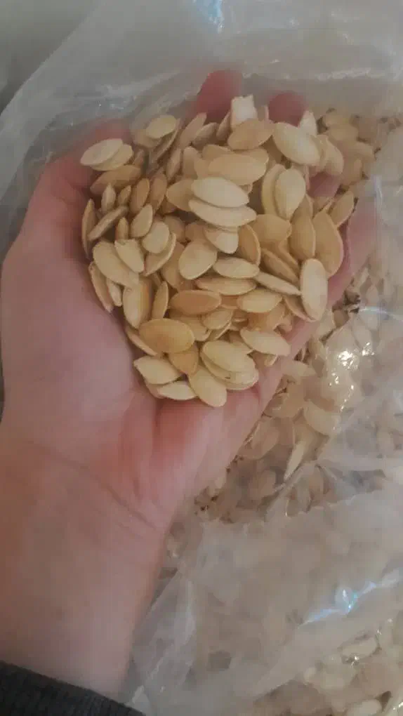 تخمه|خوردنی و آشامیدنی|رودهن, |دیوار