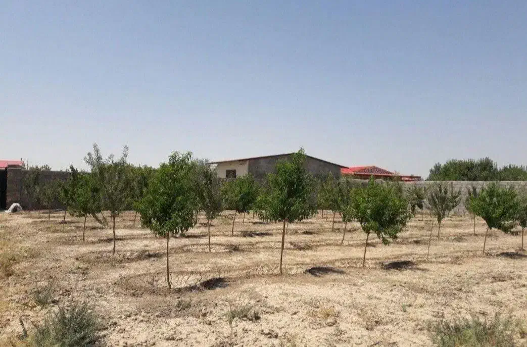 باغ ویلا در وایقان|فروش زمین و ملک کلنگی|شبستر, |دیوار