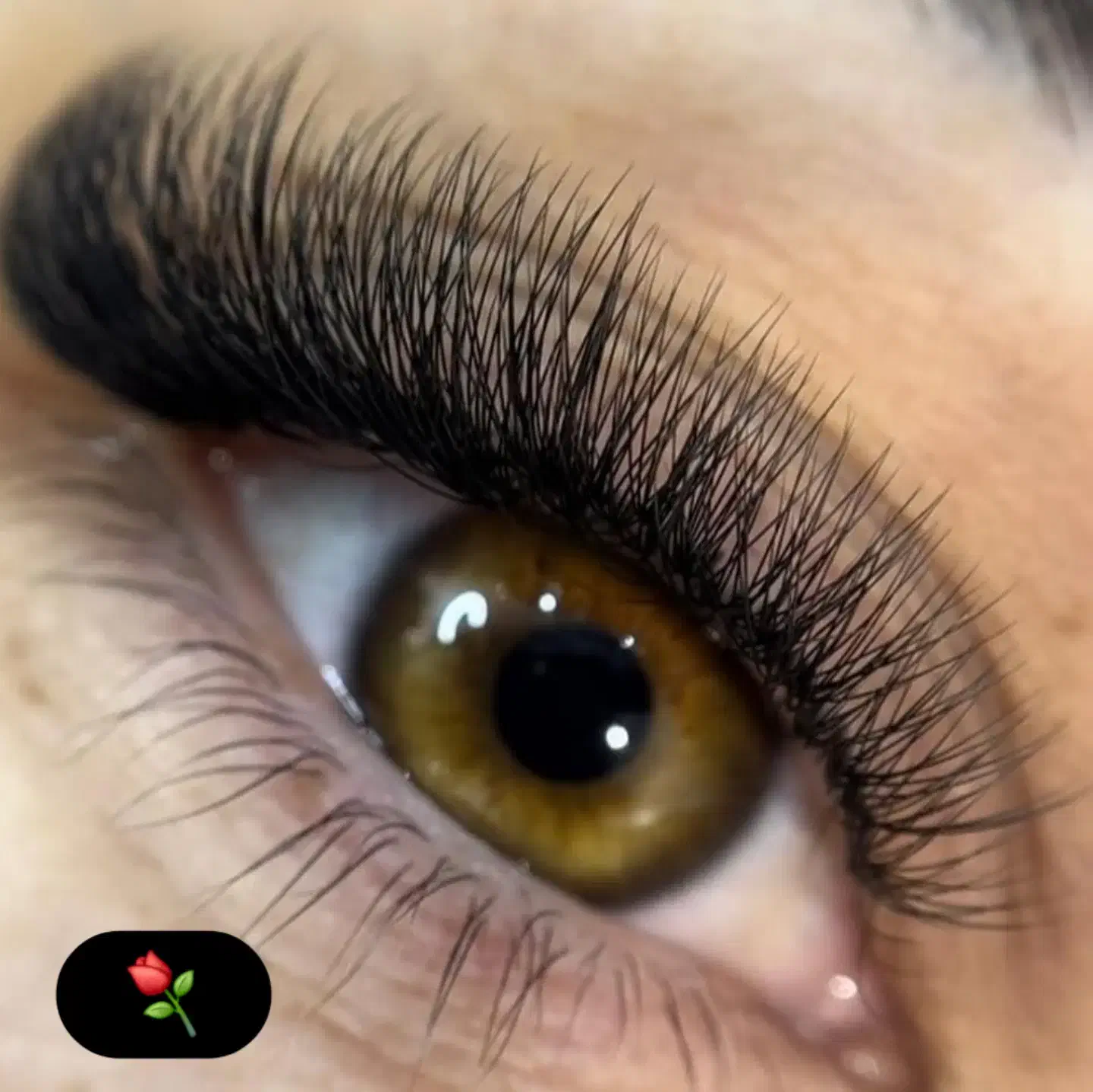 کاشت و اکستنشن مژه و لیفت ابرو تخصصی|خدمات آرایشگری و زیبایی|اصفهان, کوی امیریه|دیوار