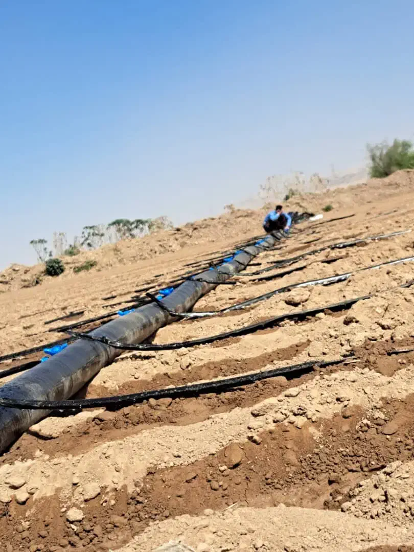 قطره ای و جوش لوله پلی اتیلن|خدمات باغبانی و درختکاری|اندیمشک, |دیوار