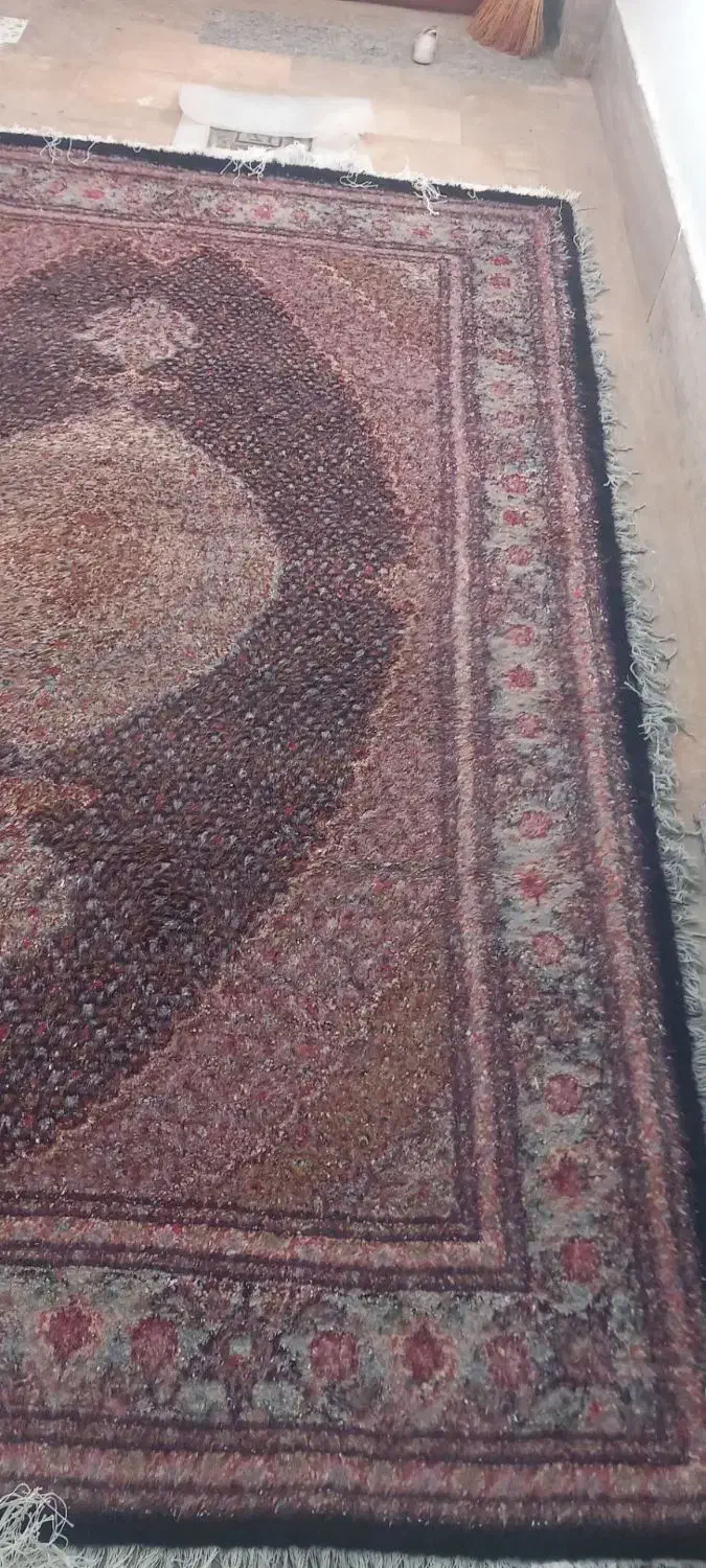 فروش فرش بیجار|فرش|اردبیل, |دیوار