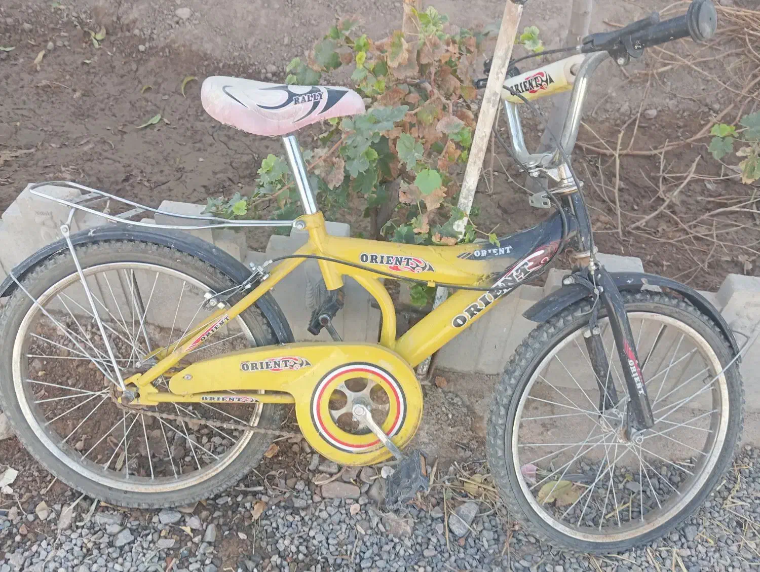 دوچرخه|دوچرخه، اسکیت، اسکوتر|کاشمر, |دیوار