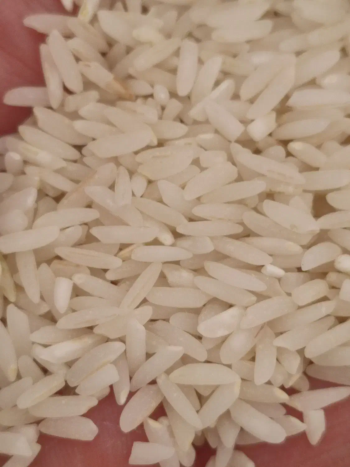 فروشنده برنج ایرانی|خوردنی و آشامیدنی|تهران, مخصوص|دیوار