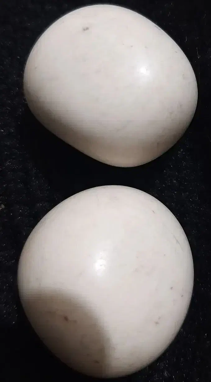 الماس آسیاب کهنه|کلکسیون اشیاء عتیقه|دلیجان, |دیوار