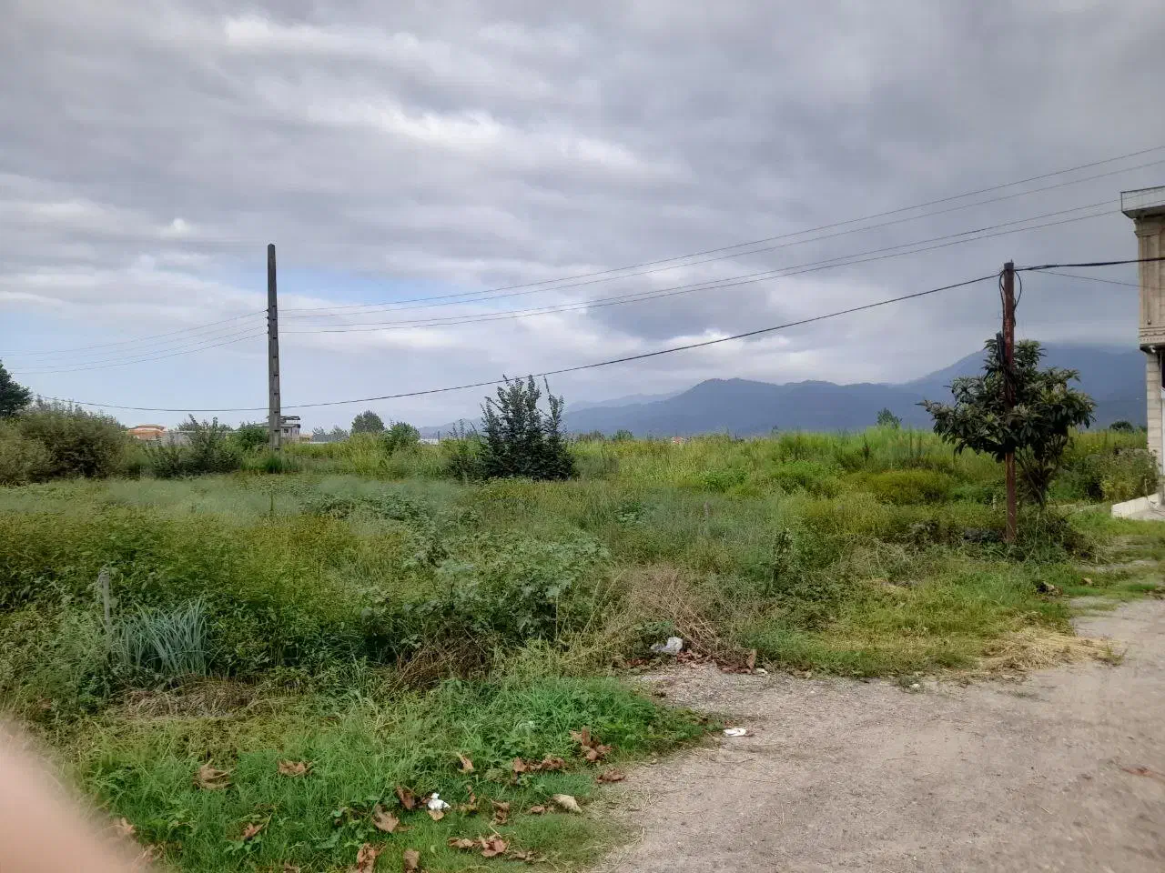 زمین سنددارتجاری مسکونی|فروش زمین و ملک کلنگی|کلاچای, |دیوار