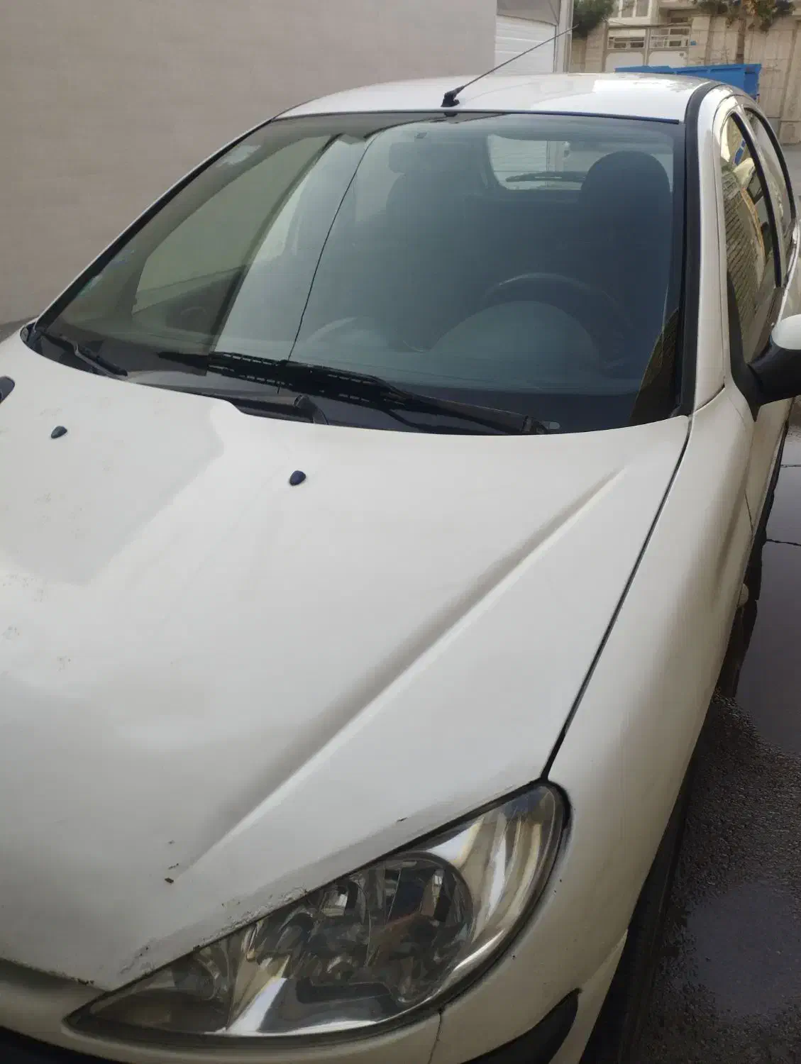 206 مدل 91|خودرو سواری و وانت|تربت‌حیدریه, داروپخش|دیوار