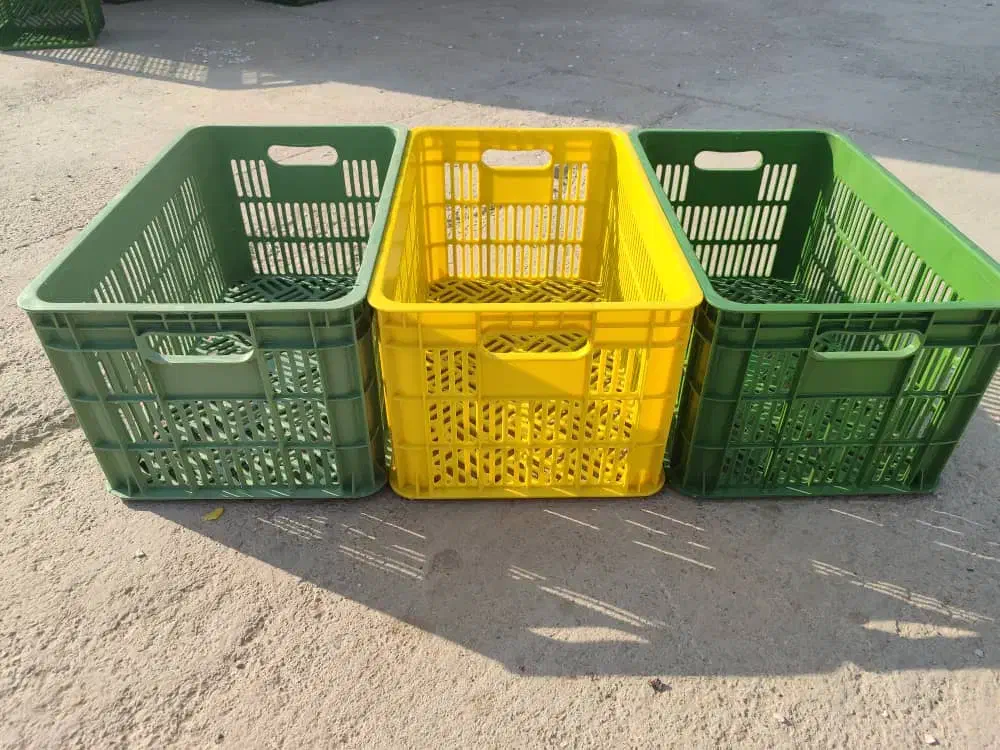 سبد ۲۰ کیلویی پرتقال|عمده‌فروشی|پاکدشت, پاکدشت (مامازند)|دیوار