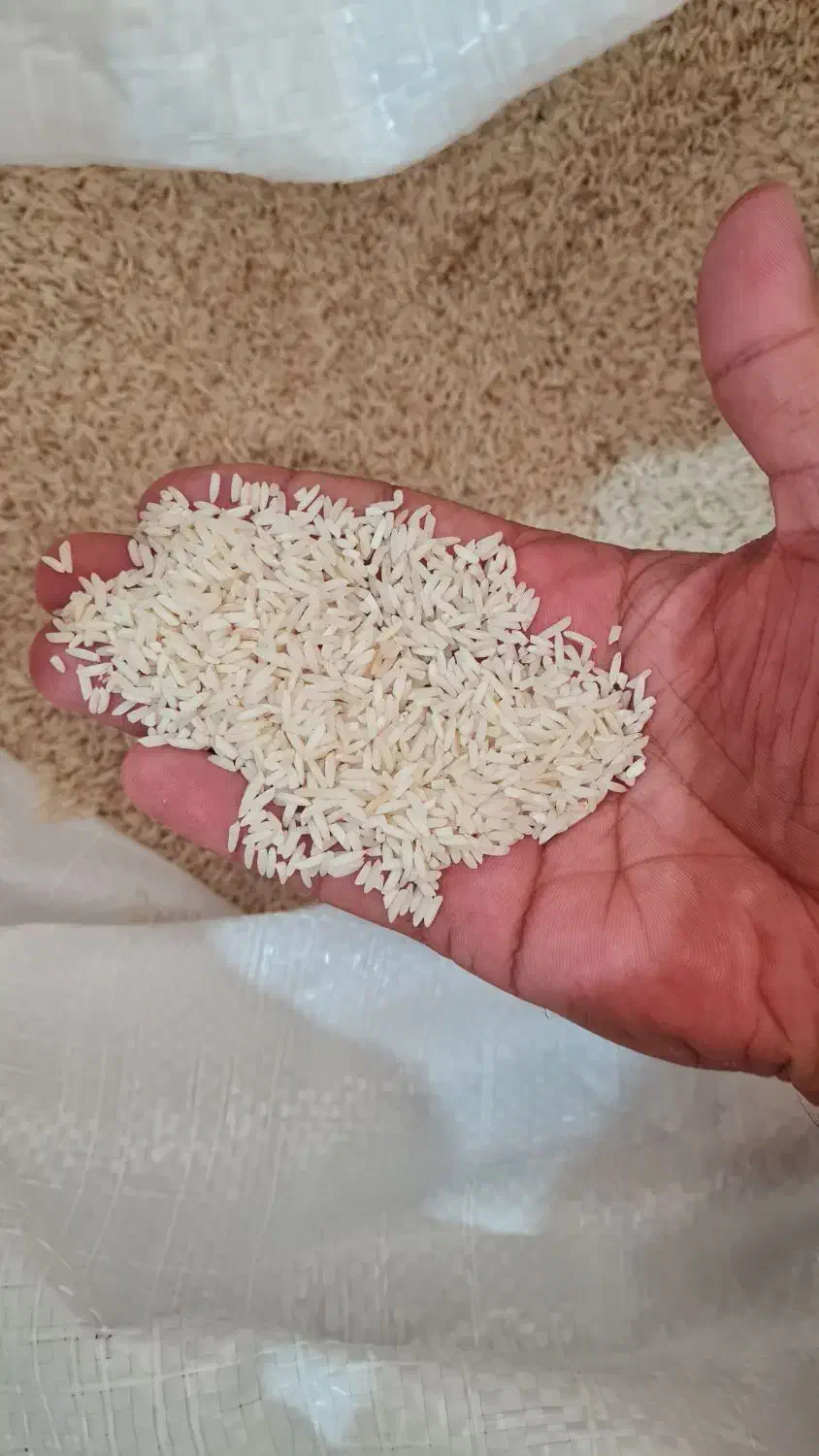 برنج دم سیاه تضمین|خوردنی و آشامیدنی|گنبد کاووس, |دیوار