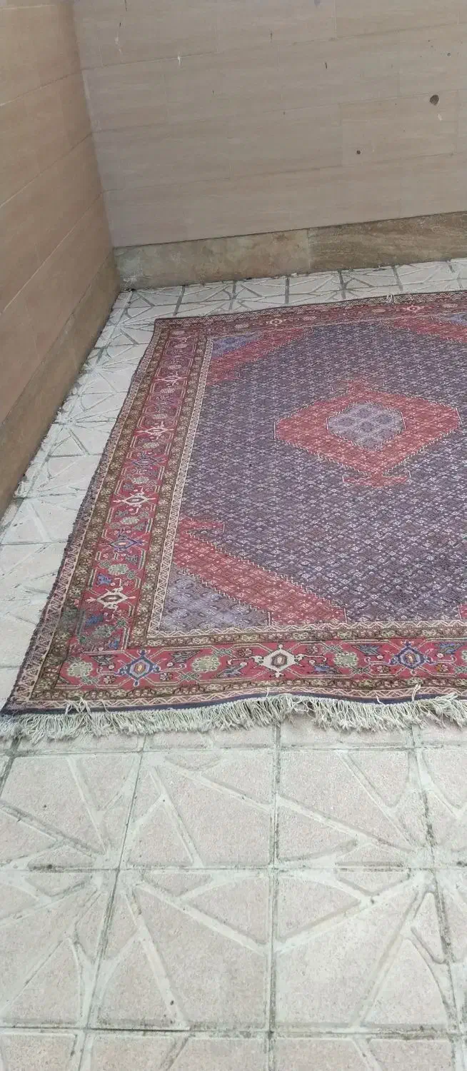 فرش دستبافت ۶ متری|فرش|اردبیل, |دیوار