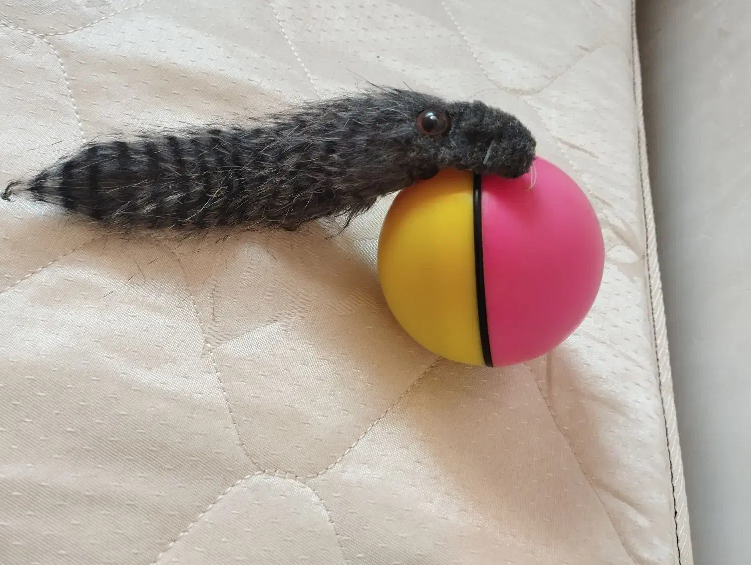 اسباب‌بازی در حد نو|اسباب‌بازی بچه|آستانه اشرفیه, |دیوار