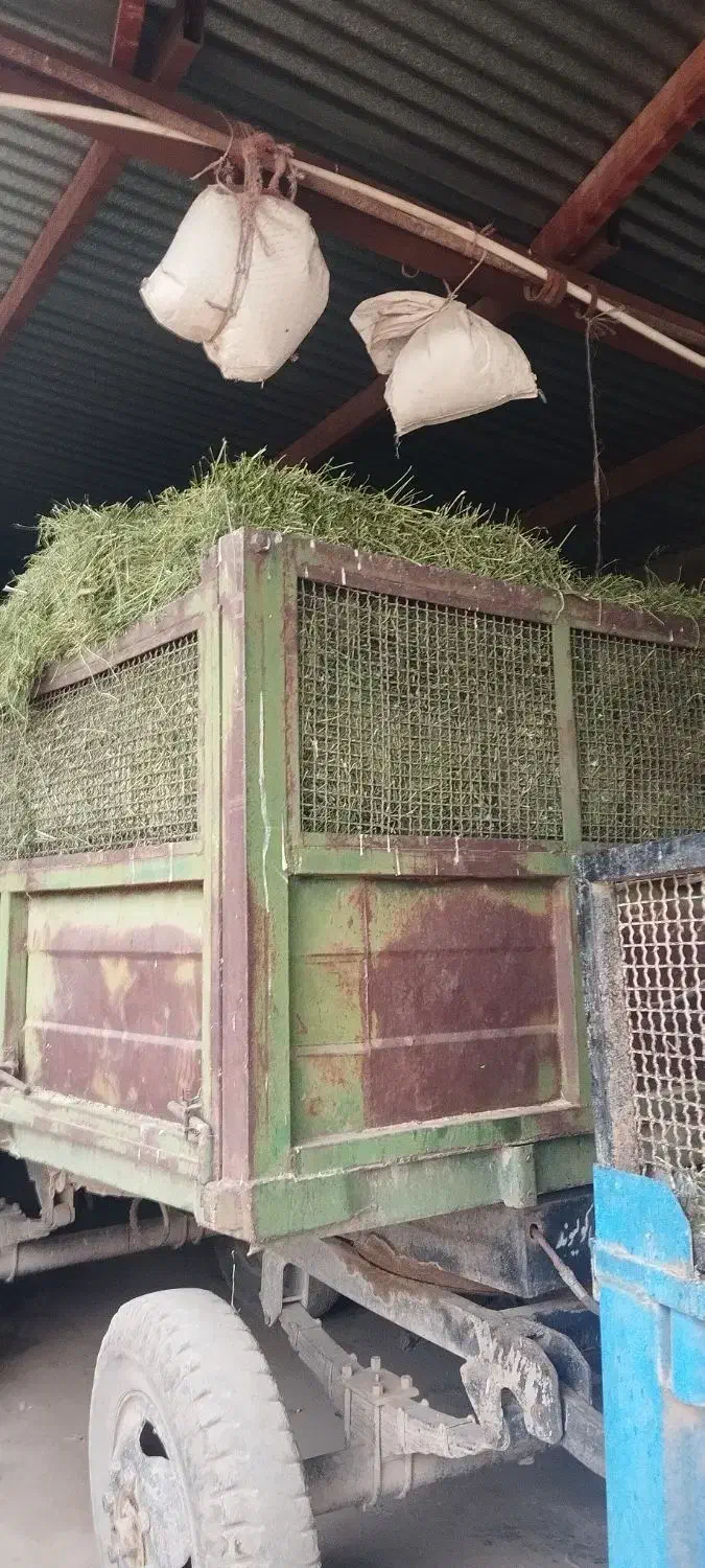 یونجه|لوازم جانبی حیوانات|بیستون, |دیوار