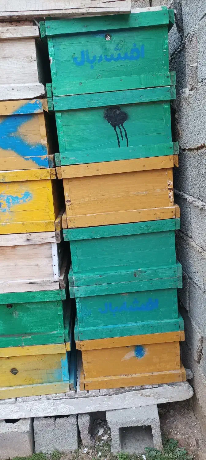 کندوی زنبور عسل|عمده‌فروشی|شاهین دژ, |دیوار