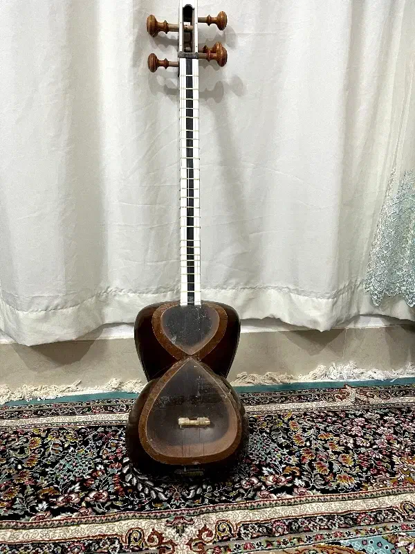 تار خوش صدا|سازهای سنتی|بجنورد, |دیوار