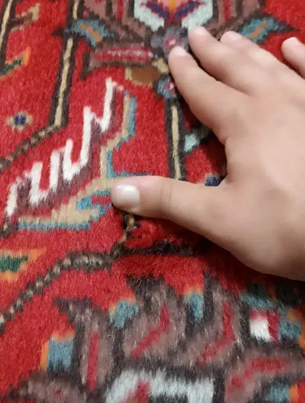 تک 12 متری دستباف طرح قبا بناب پرز سالم|فرش|تهران, آبشار|دیوار